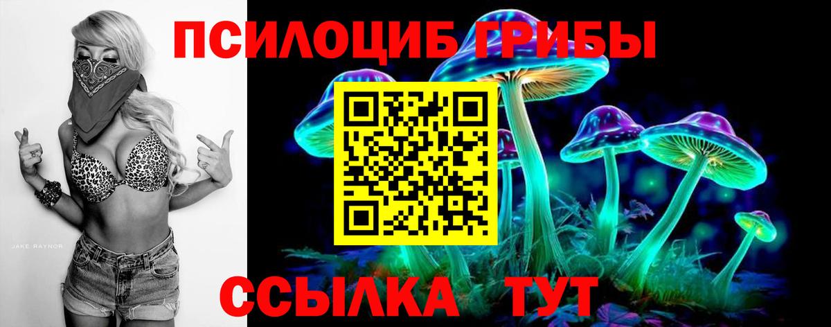 Псилоцибиновые грибы MAGIC MUSHROOMS  Вход с VPN  Балахна  Псилоцибиновые грибы MAGIC MUSHROOMS 